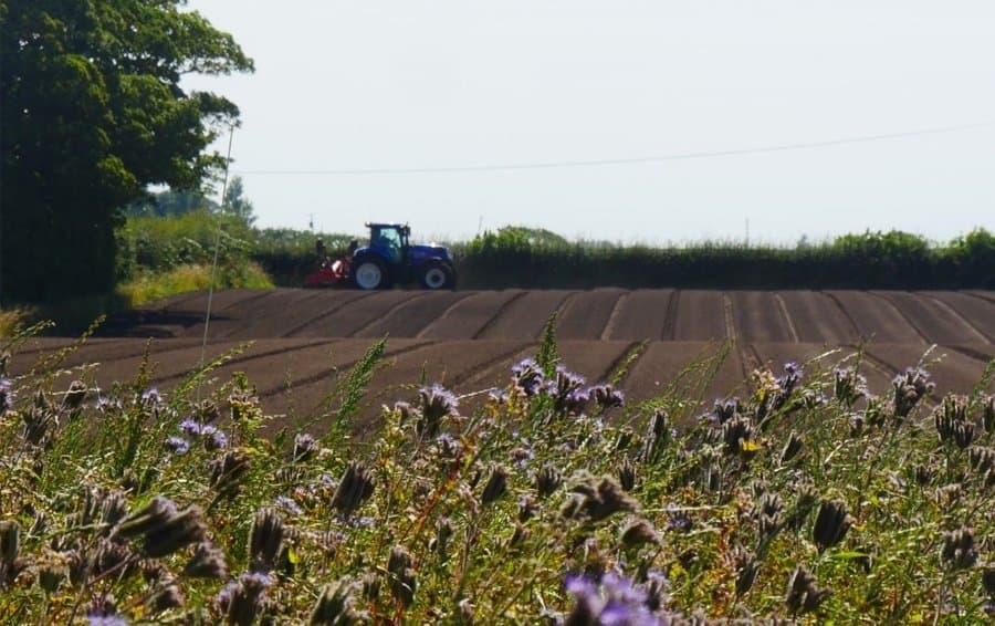 AHDB launches Carbon Week to support farmers