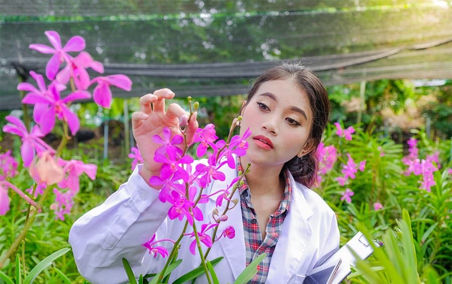 AIPH will announce the results of the first global plant health programmes survey at the virtual Plant Health Conference 2021