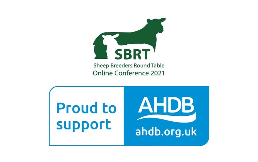 Take a virtual seat at this year’s Sheep Breeders Round Table
