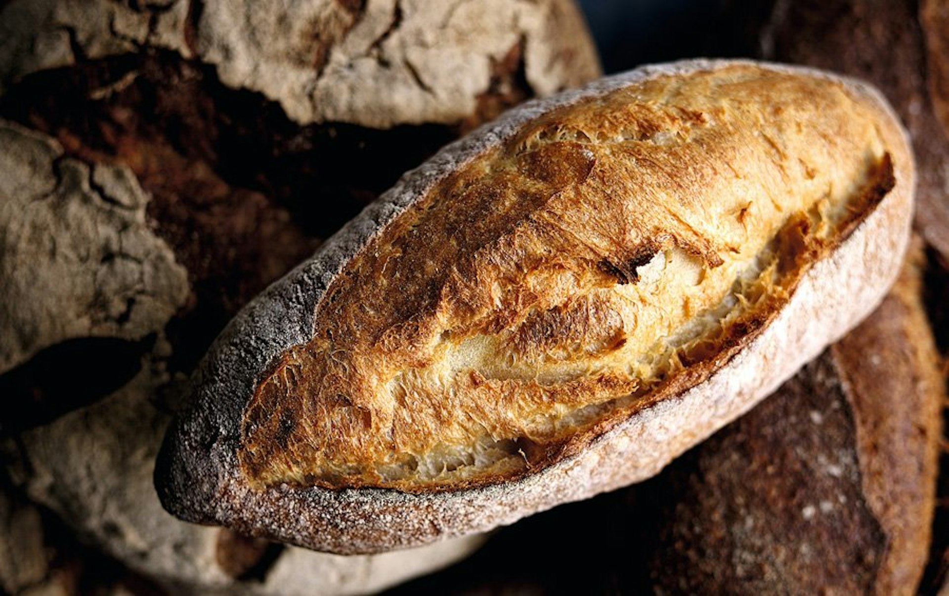 Puratos launches UK-made sourdough