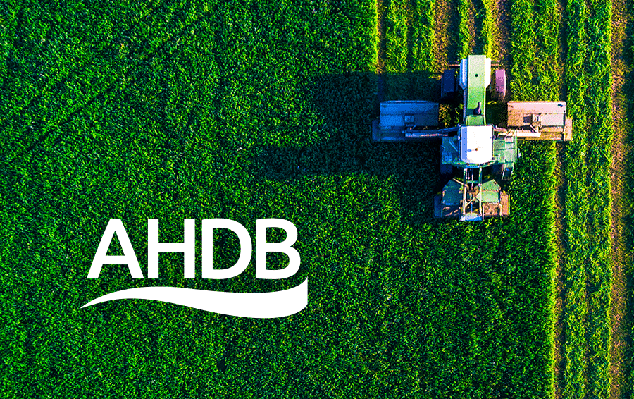 AHDB virtual event to target key overseas markets