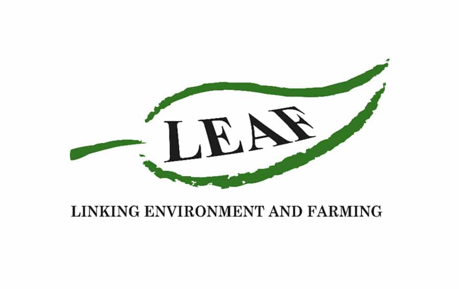 LEAF’s response to the Government’s National Food Strategy white paper published Monday 13 June 2022