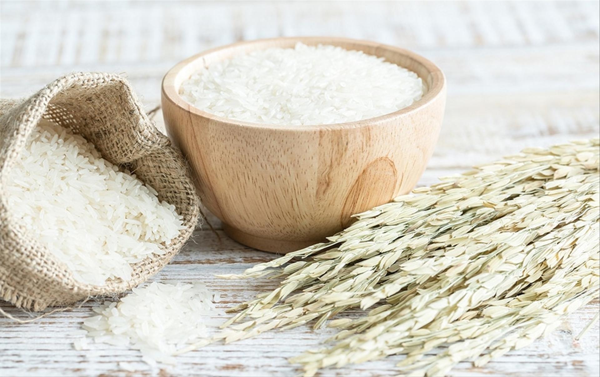 Roquette launches a new rice protein