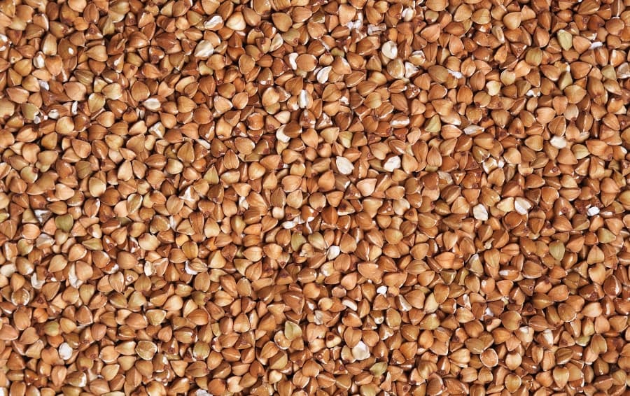 KRÖNER-STÄRKE launches sustainable buckwheat product for nutritious bakery