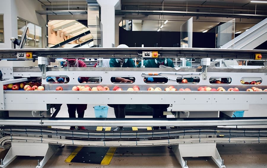 Levelling up our food supply chain