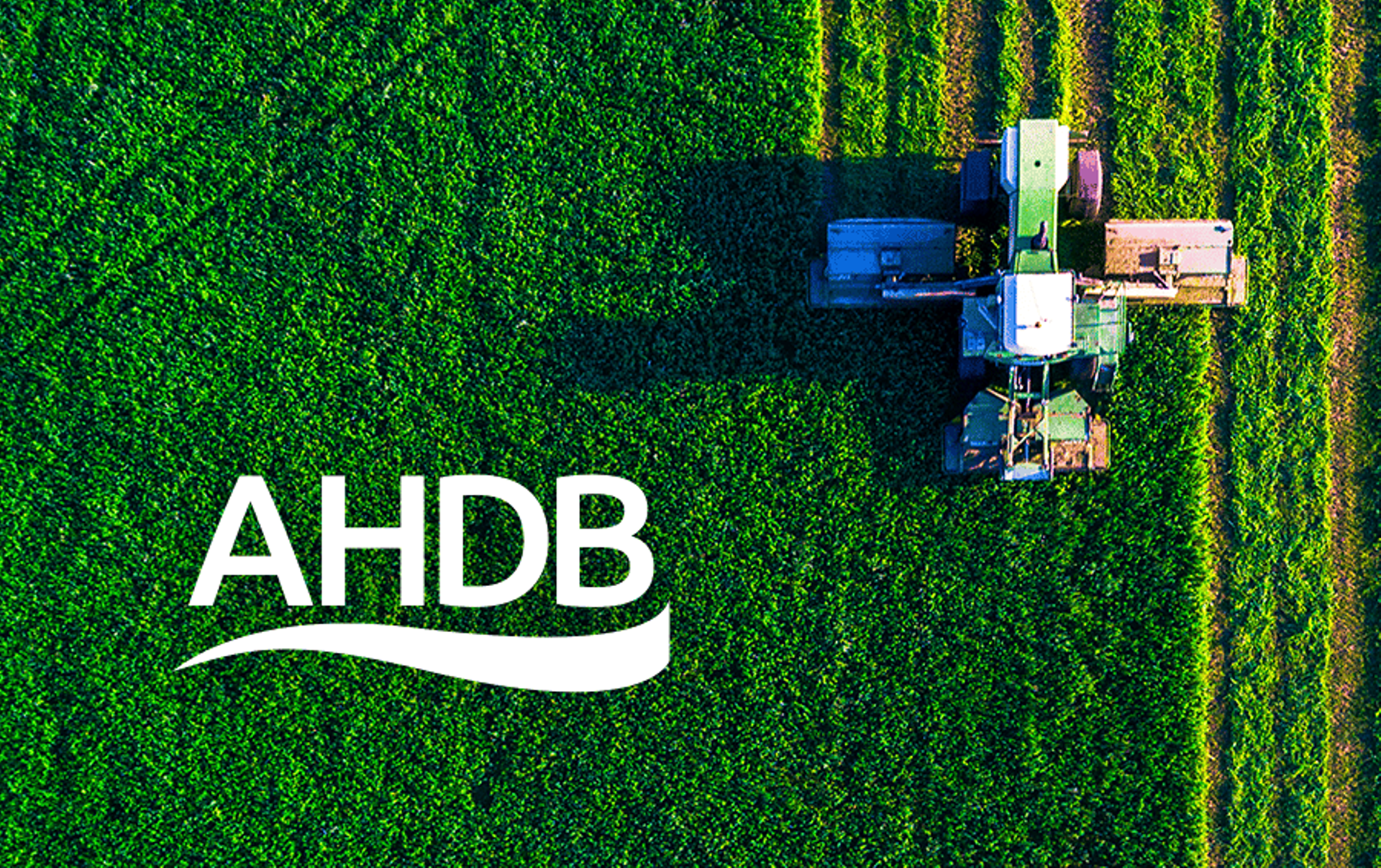 Major review of the AHDB recommended Lists gets underway