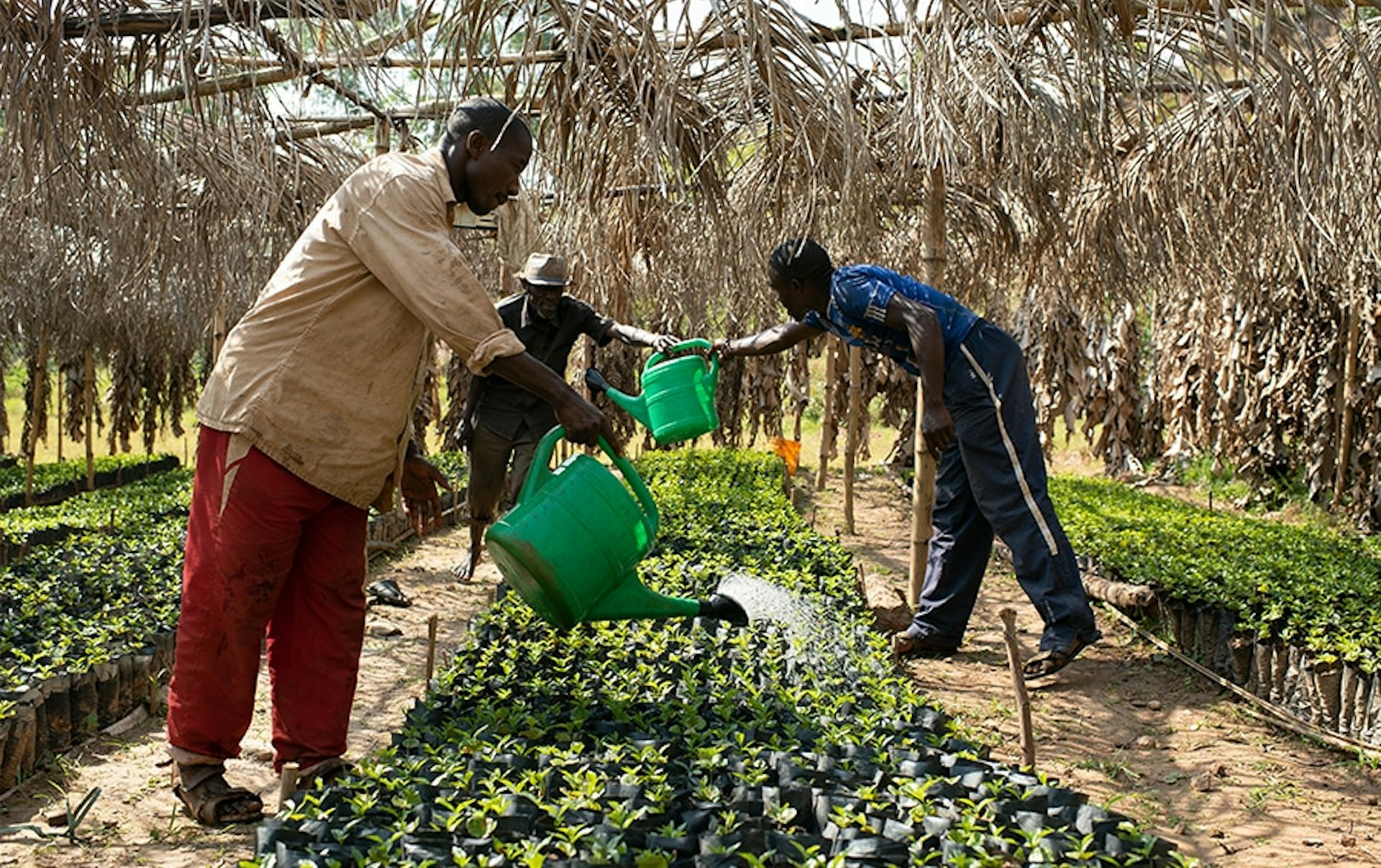 How social sustainability can help ensure the coffee industry's long-term success