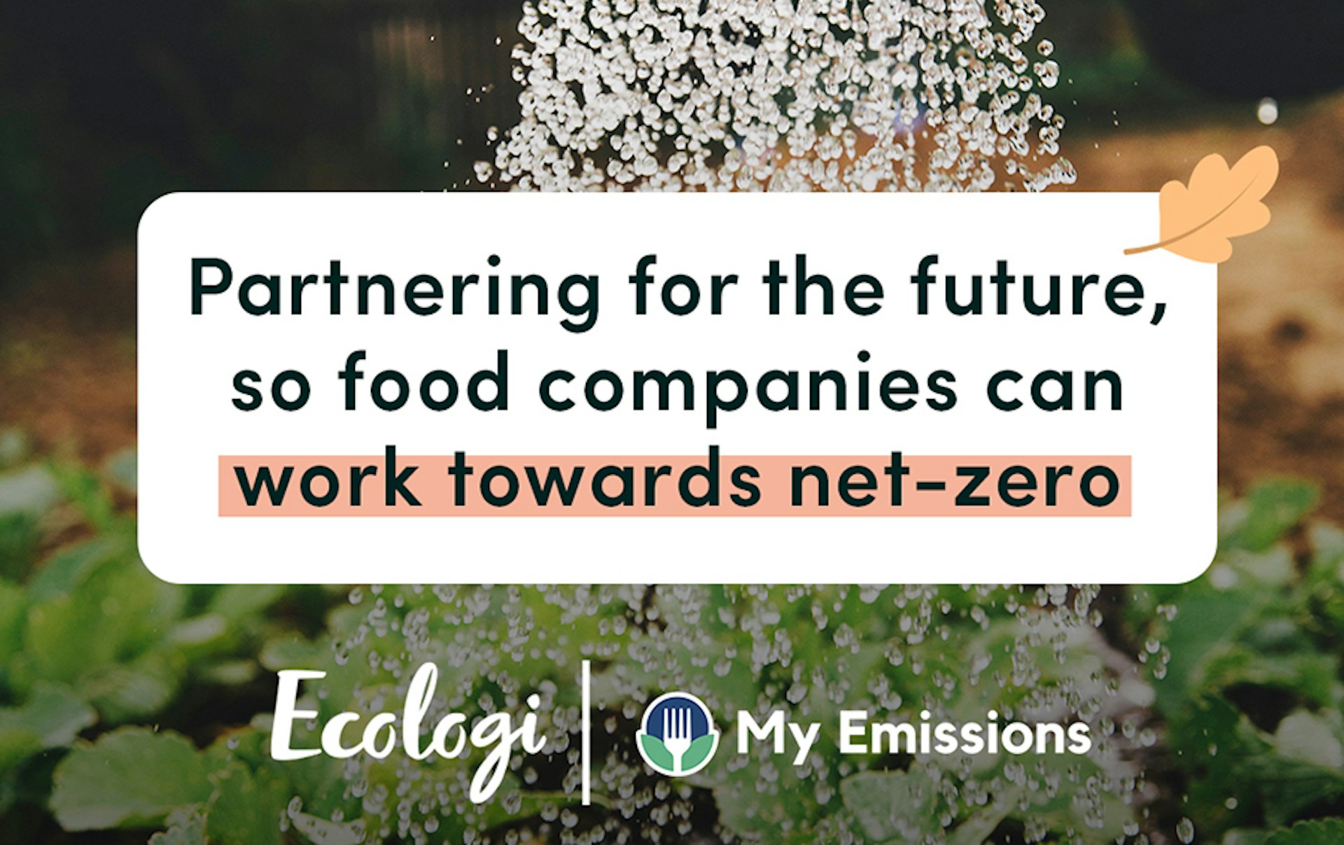 Leading climate platform Ecologi partners with My Emissions to help the food and beverage industry accelerate decarbonisation