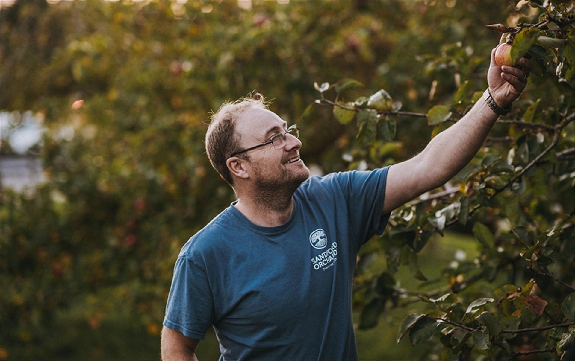 Sandford Orchards wins funding to lead apple tree research