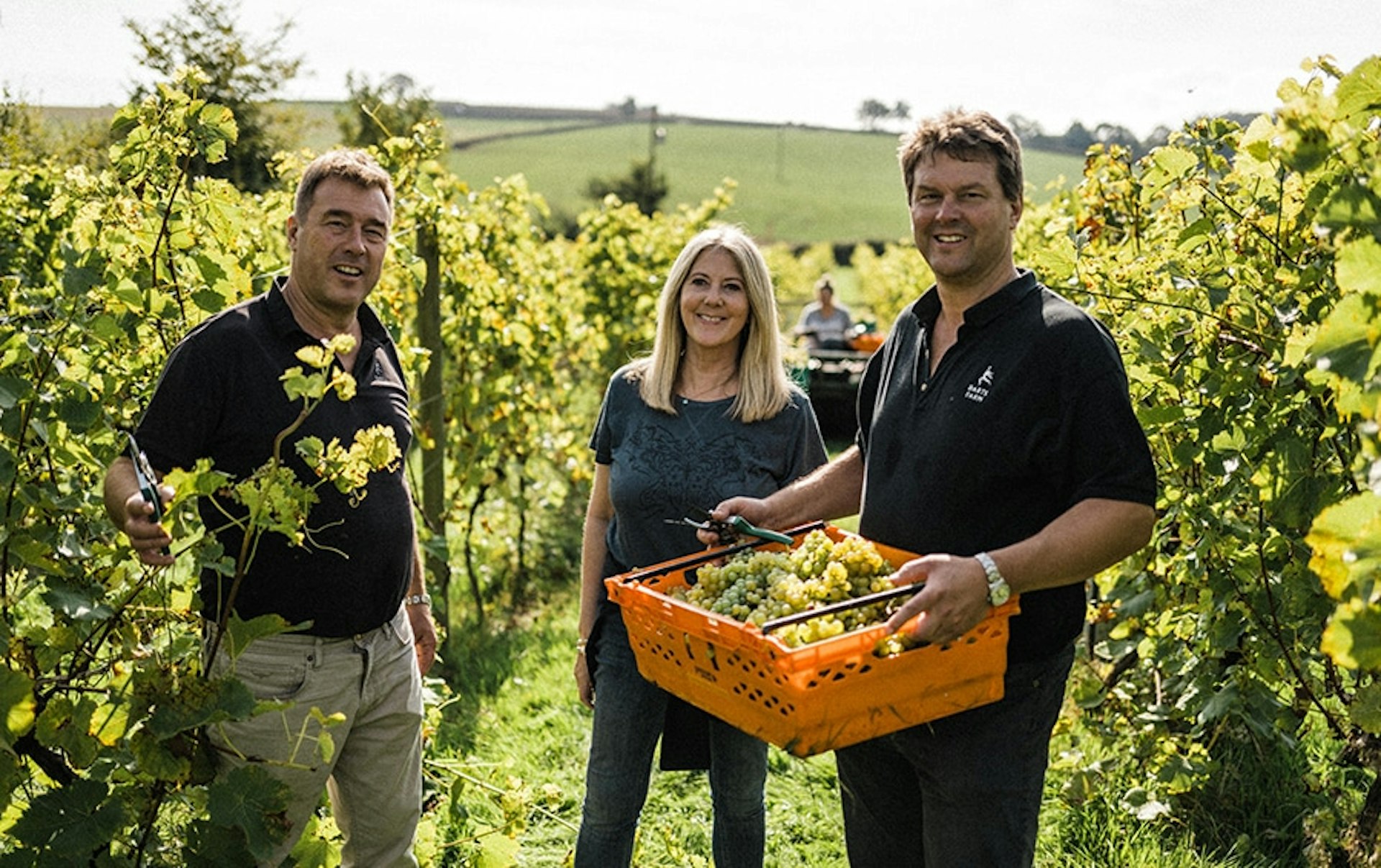 Darts Farm’s Pebblebed Vineyard celebrates 3 national wine awards