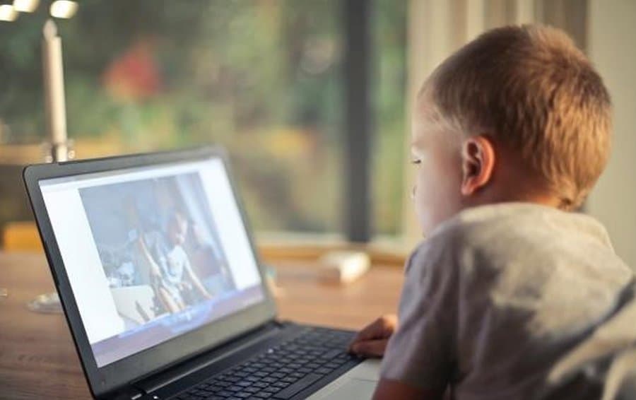 AHDB Education programmes help support home learners with food and farming resources