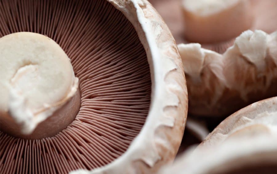 Superfood shopping basket: nutritionist unveils surprising supermarket finds to boost health - from marmite to mushrooms