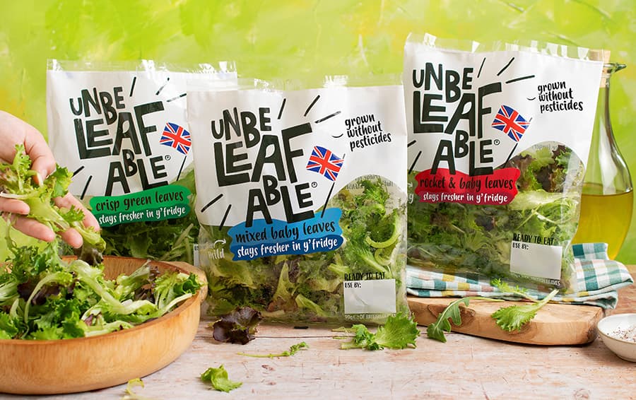 GrowUp Farms launches first range of ready-to-eat salads grown in a vertical farm into Tesco